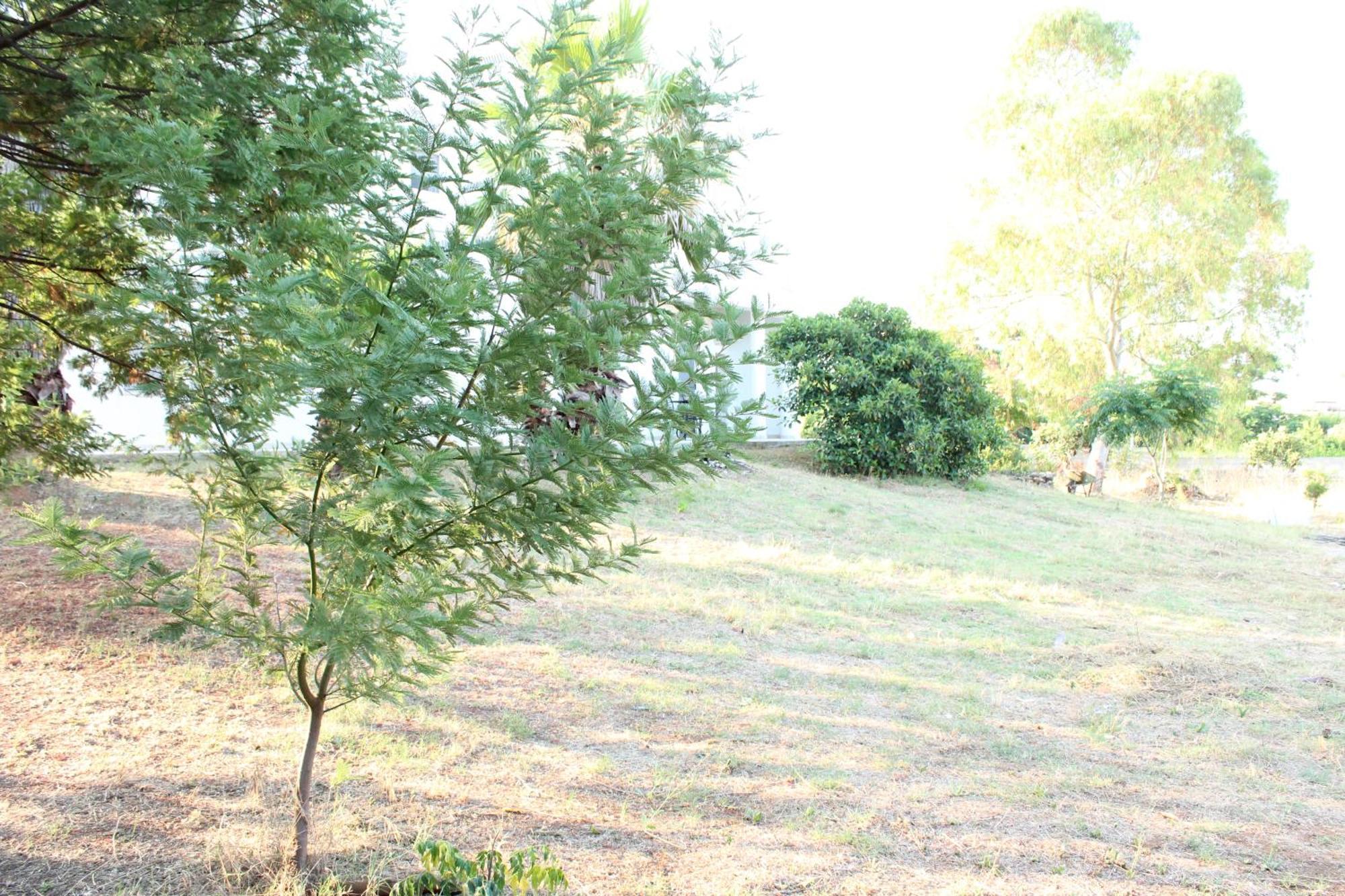 Apartamento Boat Dreams , Garden Relax Matino Exterior foto